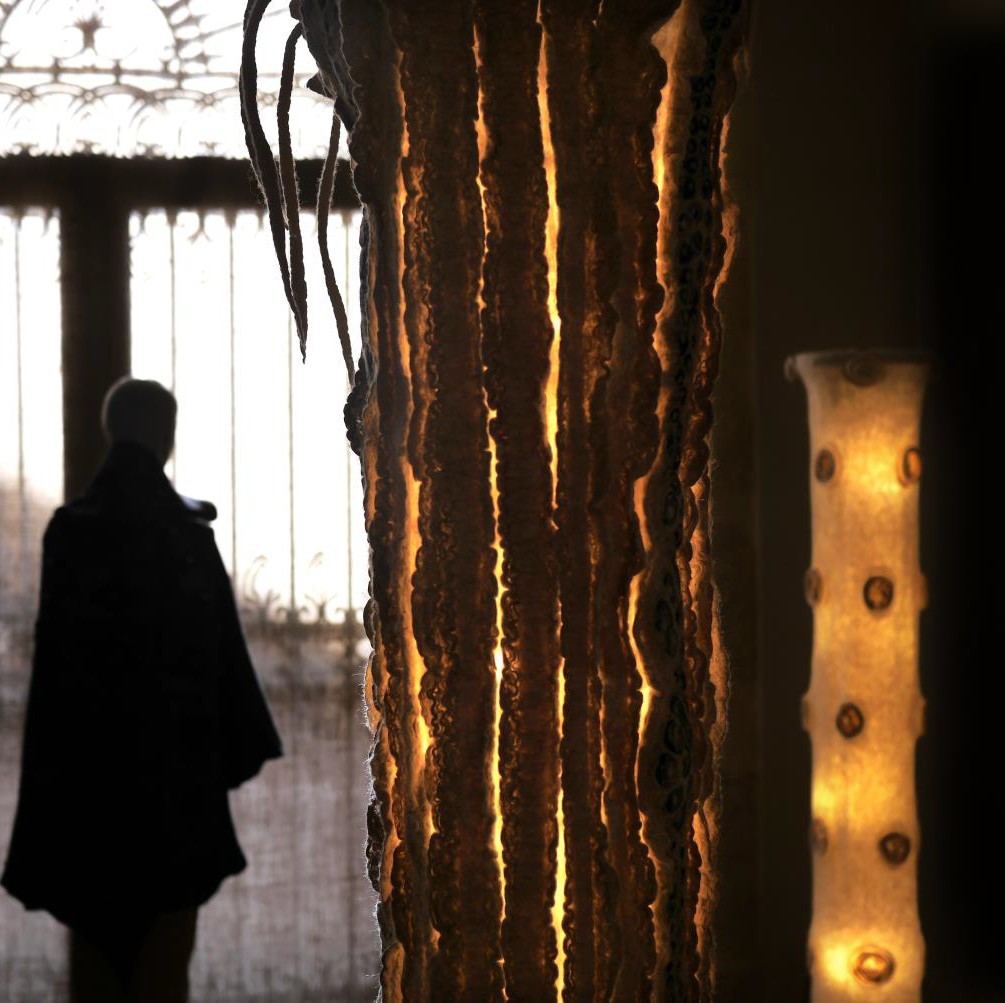 alberi-luce alla mostra di Soave 2015